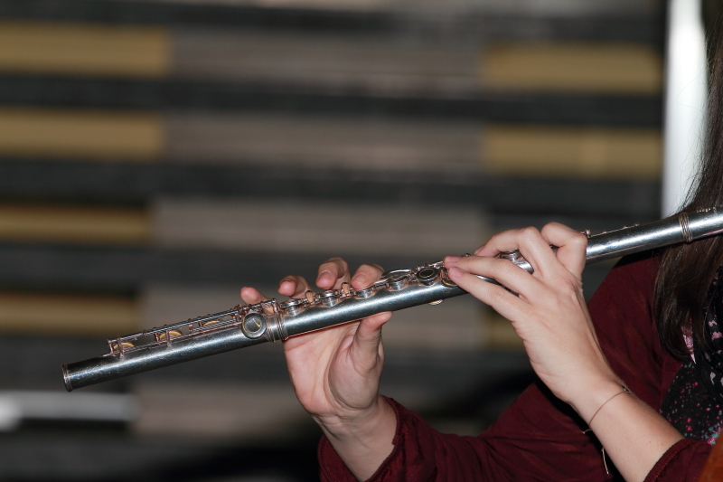 Neujahrskonzert 2014